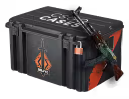 Operation Bravo Case CS2 Rare Drop