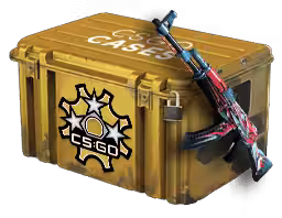 Revolver Case CS2