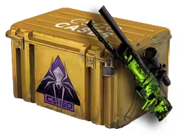 Shattered Web Case CS2