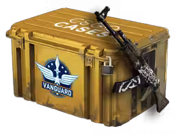 Operation Vanguard Weapon Case CS2